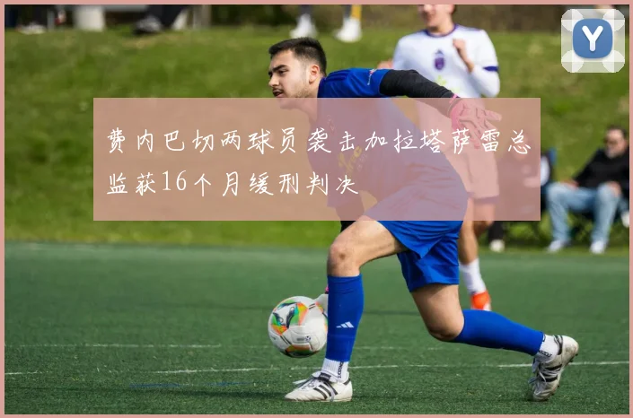 费内巴切两球员袭击加拉塔萨雷总监获16个月缓刑判决