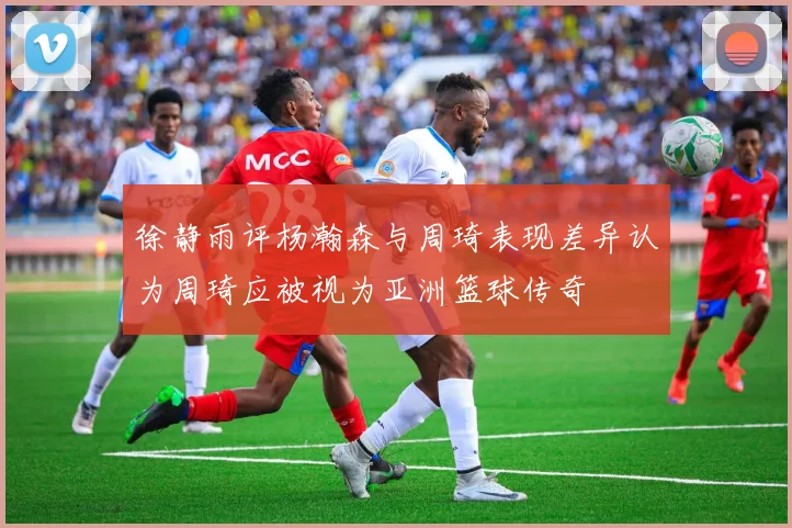 徐静雨评杨瀚森与周琦表现差异认为周琦应被视为亚洲篮球传奇