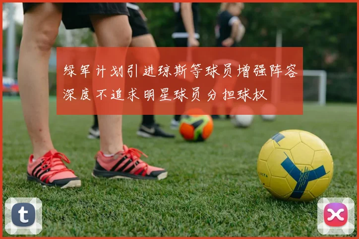 绿军计划引进琼斯等球员增强阵容深度不追求明星球员分担球权