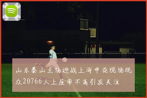 山东泰山主场迎战上海申花现场观众20766人上座率不高引发关注