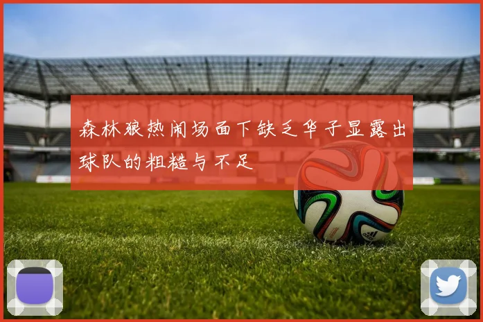 森林狼热闹场面下缺乏华子显露出球队的粗糙与不足