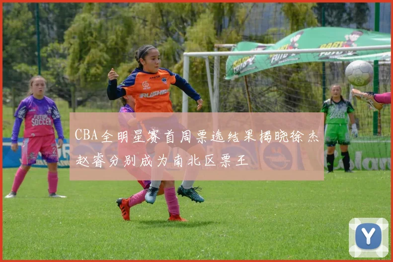 CBA全明星赛首周票选结果揭晓徐杰赵睿分别成为南北区票王